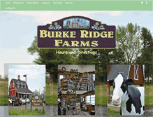 Tablet Screenshot of burkeridge.com